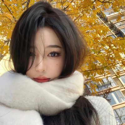 冒牌总统