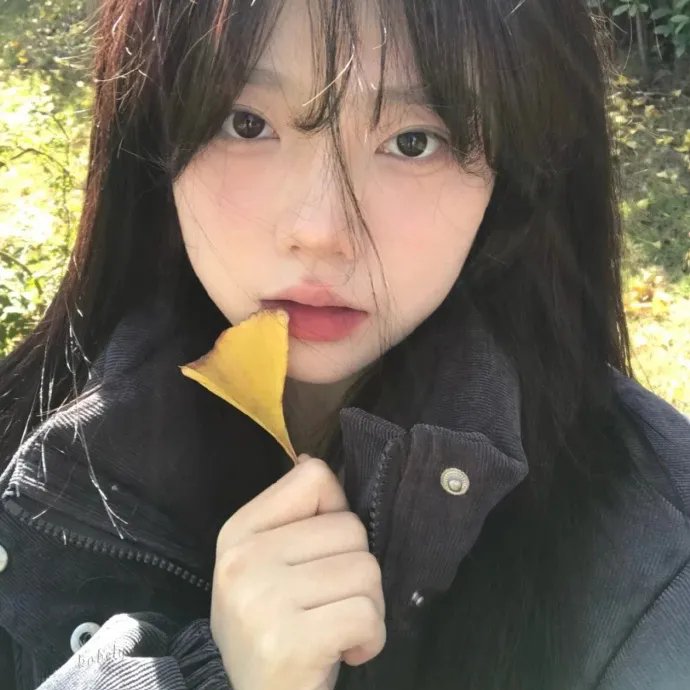 太阳花